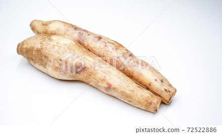 Image of Yacon 72522886