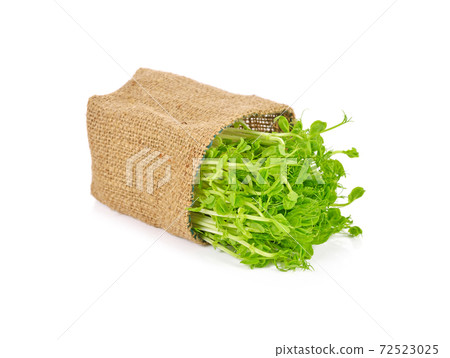 Snow pea sprouts on white background Snow pea sprouts on white background 72523025