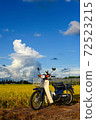 Autumn and super cub Autumn and super cub 72523215