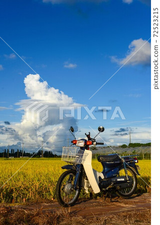 Autumn and super cub Autumn and super cub 72523215