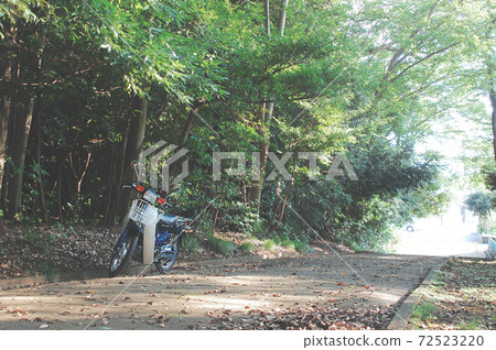 Turnip Turnip 72523220