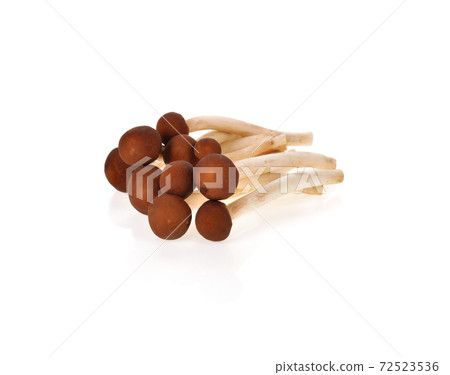 Yanagi-matsutake mushroom on white background Yanagi-matsutake mushroom on white background 72523536