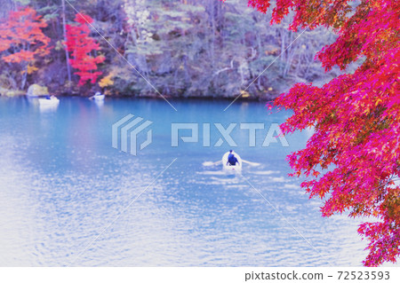 Autumn leaves and boats (Fukushima Prefecture Urabandai Five Colored Lakes) Autumn leaves and boats (Fukushima Prefecture Urabandai Five Colored Lakes) 72523593