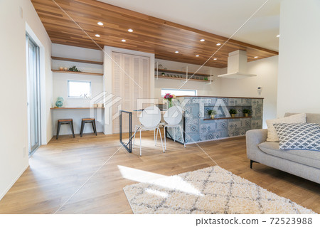 斯堪的納維亞風格的時尚內飾 72523988