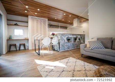 Fashionable living room 72523992