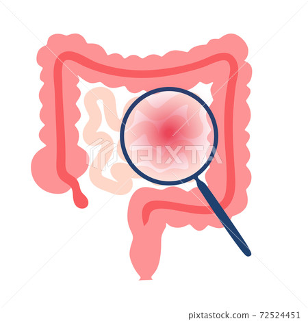 Human internal organs 72524451