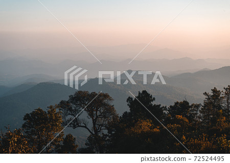 Mountain forest view in the evening Mountain forest view in the evening 72524495