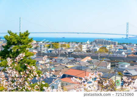 Akashi City Akashi Strait and Akashi City Townscape 72525060
