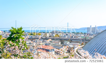 Akashi City Akashi Strait and Akashi City Townscape 72525061