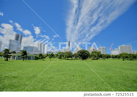 Cities and Nature Cities and Nature 72525515