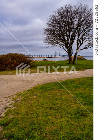 Green grass with a footpath in the foreground and a tree in the background. Picture from Malmo, Sweden Green grass with a footpath in the foreground and a tree in the background. Picture from Malmo, Sweden 72528962