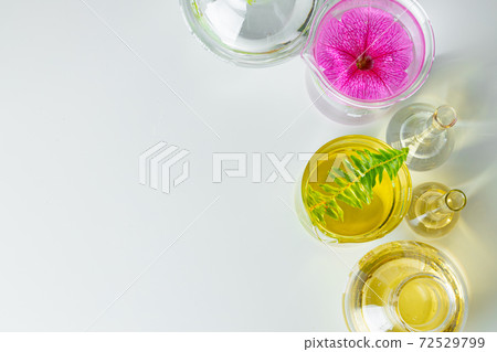 Plants in laboratory glassware. Skincare products and drugs chemical researches concept 72529799
