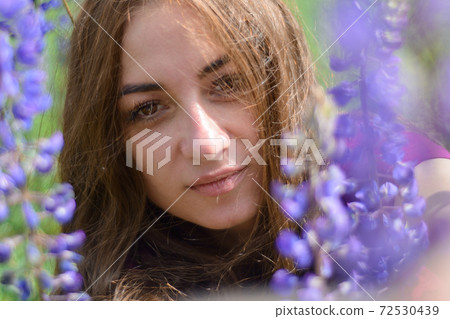 girl with long dark hair in a field with lupins girl with long dark hair in a field with lupins 72530439