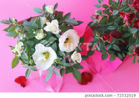 Fresh roses are packed in a pink package on a light background for a romantic gift, birthday greetings, wedding invitations, Valentine's Day Fresh roses are packed in a pink package on a light background for a romantic gift, birthday greetings, wedding invitations, Valentine's Day 72532019