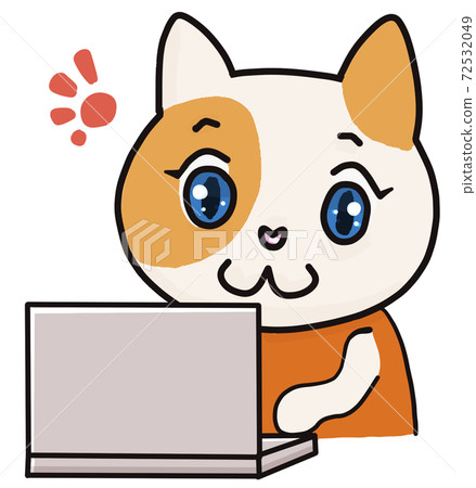 Cat during remote work Cat during remote work 72532049