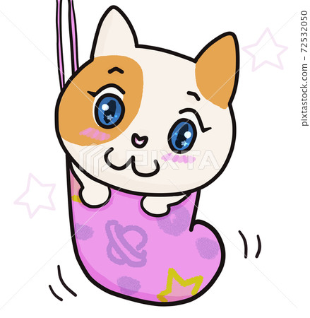Shoeed cat Shoeed cat 72532050