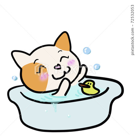 Cat taking a bath Cat taking a bath 72532053