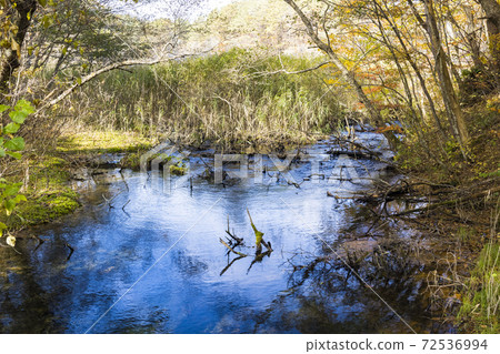 Autumn Bishamonnuma (Fukushima Prefecture Urabandai Five Colored Lakes) Autumn Bishamonnuma (Fukushima Prefecture Urabandai Five Colored Lakes) 72536994