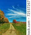 Autumn walking path 72537267