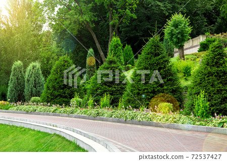 curved pedestrian walkway made of tiles with a stone curb along a flower bed with pine trees, in the background deciduous trees and a green lawn with sun flare. curved pedestrian walkway made of tiles with a stone curb along a flower bed with pine trees, in the background deciduous trees and a green lawn with sun flare. 72537427