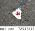 The Canadian flag that happened to be on the ground 72537818