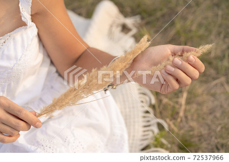 Beautiful tender girl in a white sundress walks at sunset in a field with a spikelet bouquet. 72537966