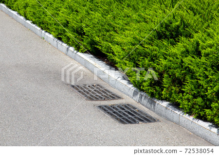asphalt road with a lattice storm system near the border with evergreen thuja on sunny day. asphalt road with a lattice storm system near the border with evergreen thuja on sunny day. 72538054