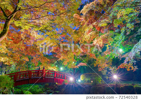 靜岡縣熱海市熱海梅花園紅葉Momiji節 靜岡縣熱海市熱海梅花園紅葉Momiji節 72540328