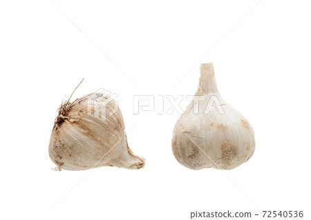 garlic head fresh fragrant vegetable two ripe ingredients for cooking isolated on a white background. garlic head fresh fragrant vegetable two ripe ingredients for cooking isolated on a white background. 72540536