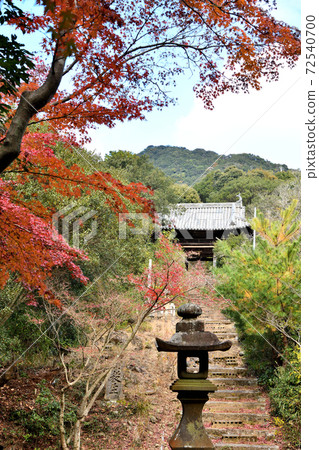 The gate and approach to Kosenji Temple (Takako Kannon) 72540700