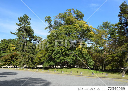 京都御所 京都御所 72540969