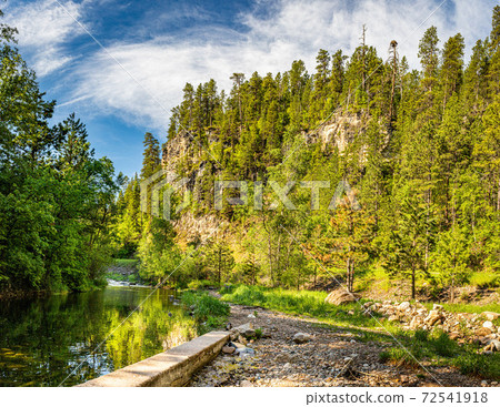 Spearfish Creek in the Black Hills 72541918