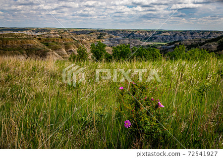 Theodore Roosevelt National Park North Unit Theodore Roosevelt National Park North Unit 72541927