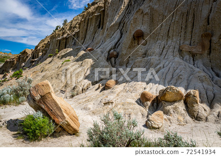 Theodore Roosevelt National Park North Unit Cannonball Concretions 72541934