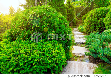 stone footpath in a garden with green plants, landscaping with bushes and a stone path with sun flare. stone footpath in a garden with green plants, landscaping with bushes and a stone path with sun flare. 72542138