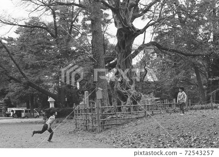Playing by the magic tree Good friends film photo Playing by the magic tree Good friends film photo 72543257