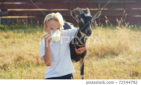 The boy drinks goat milk from a mug and hugs his beloved goat. The boy drinks goat milk from a mug and hugs his beloved goat. 72544792