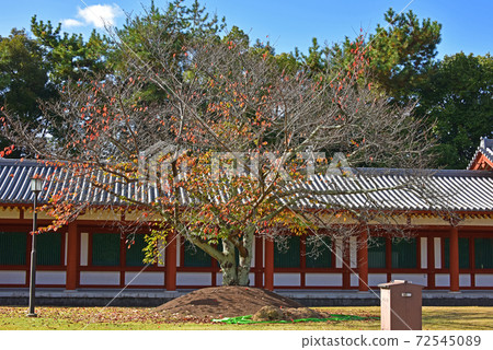Autumn leaves in Nara Yakushiji Temple 72545089