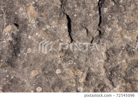 Surface of mossy rock 72545096