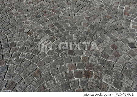 Winter flower garden Flower park 72545461