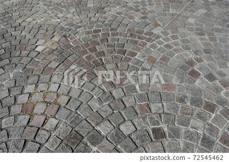 Winter flower garden Flower park Winter flower garden Flower park 72545462