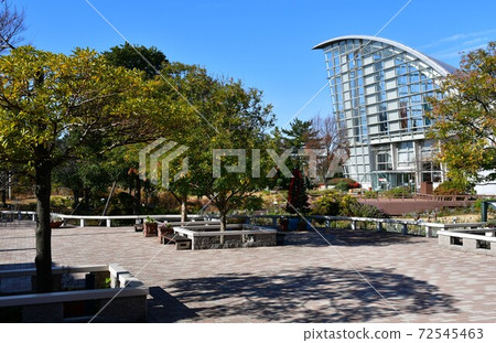 Winter flower garden Flower park 72545463