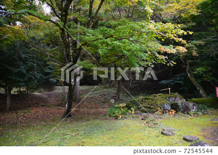 秋季山形有田紀念館#42 秋季山形有田紀念館#42 72545544