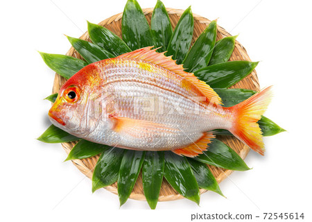 Colander, bamboo grass and red sea bream 72545614