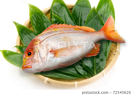 Colander, bamboo grass and red sea bream 72545620