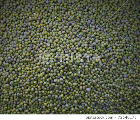 green bean seeds, mung background. Top view 72546175