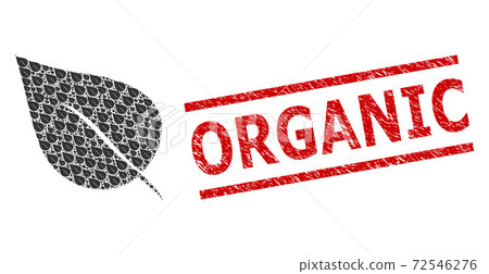 Plant Leaf Recursive Collage of Plant Leaf Items and Grunge Organic Seal 72546276