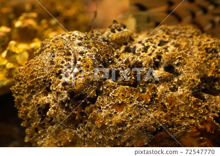 Onii Dalma Okoze Onii Dalma Okoze 72547770