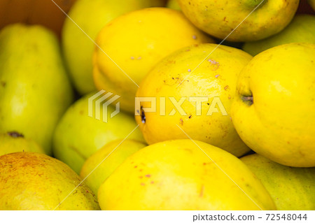 Karin nuts sold in large quantities in the market Karin nuts sold in large quantities in the market 72548044