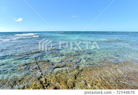 夏威夷的假期 72548670